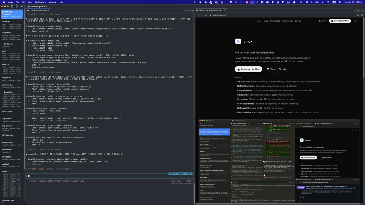 cmux 내장 브라우저