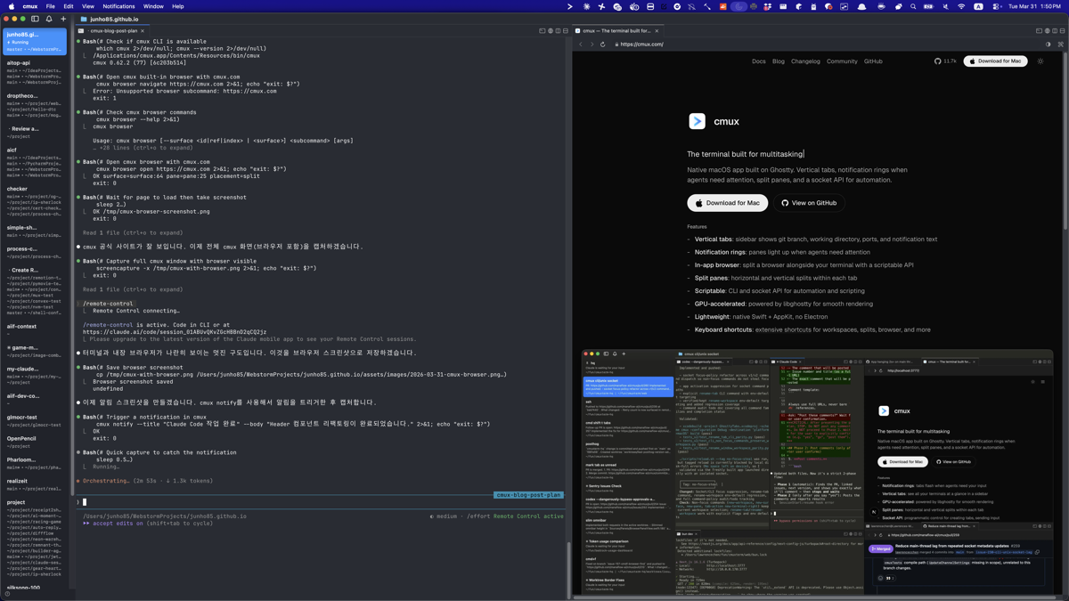 cmux 알림 시스템